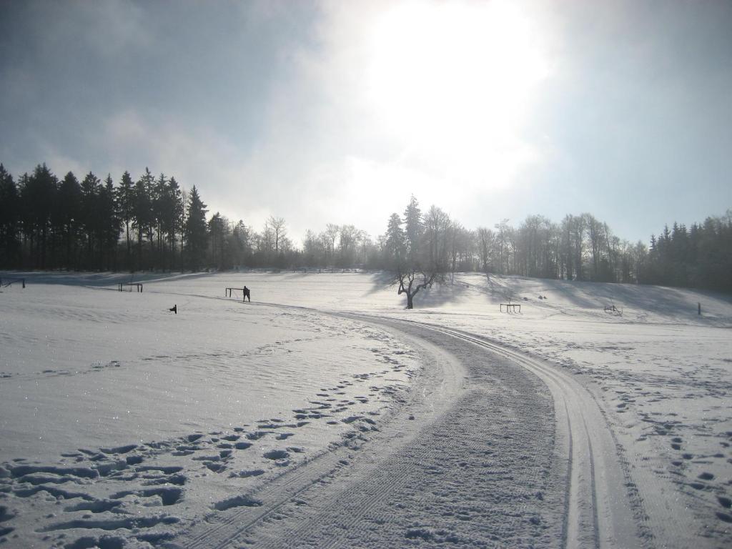 Landschafts-Gasthaus Brautigam-Hanses Schmallenberg Eksteriør billede