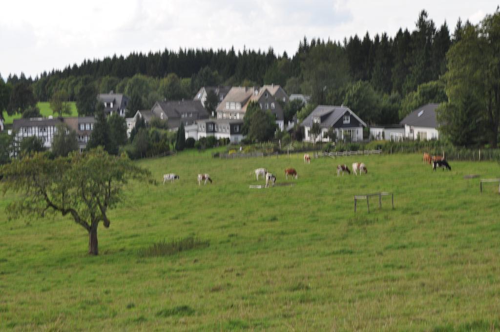 Landschafts-Gasthaus Brautigam-Hanses Schmallenberg Eksteriør billede